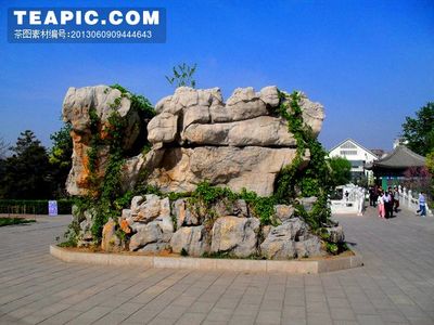 自然之韻，匠心之作 淺談假山的藝術與文化內涵